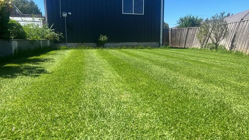Lawn Mowing