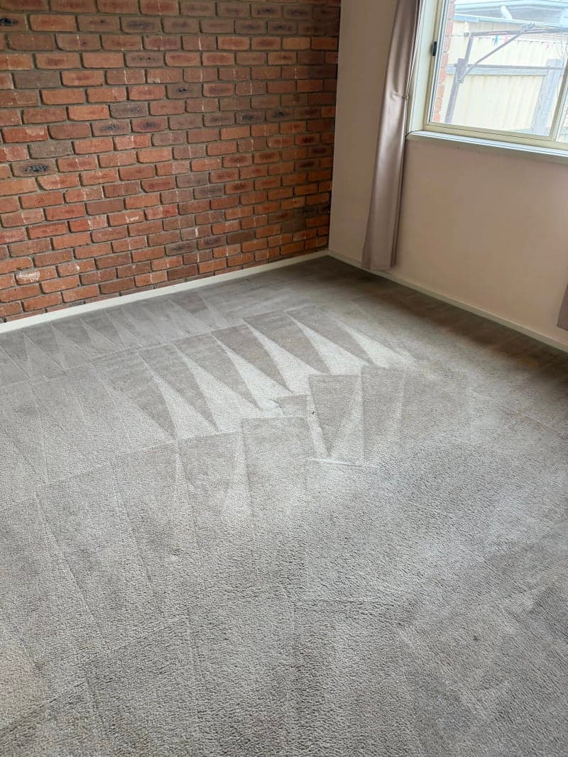 Carpet Cleaning